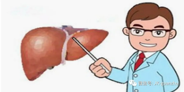 乙肝患者在饮食上的注意事项有哪些？