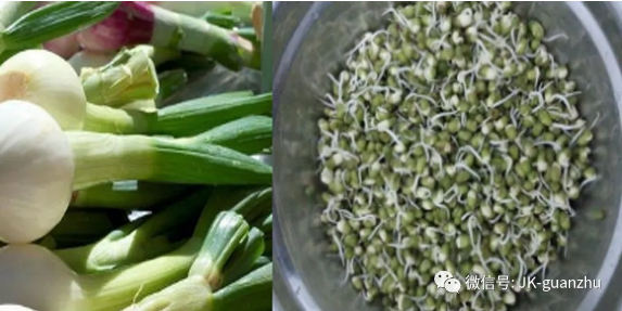 哪些食物发芽之后仍然可以吃