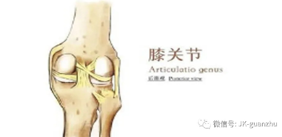 天气变凉，教你如何养护膝关节