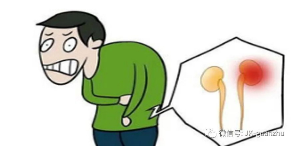年轻人哪些坏习惯会损伤到肾脏健康？